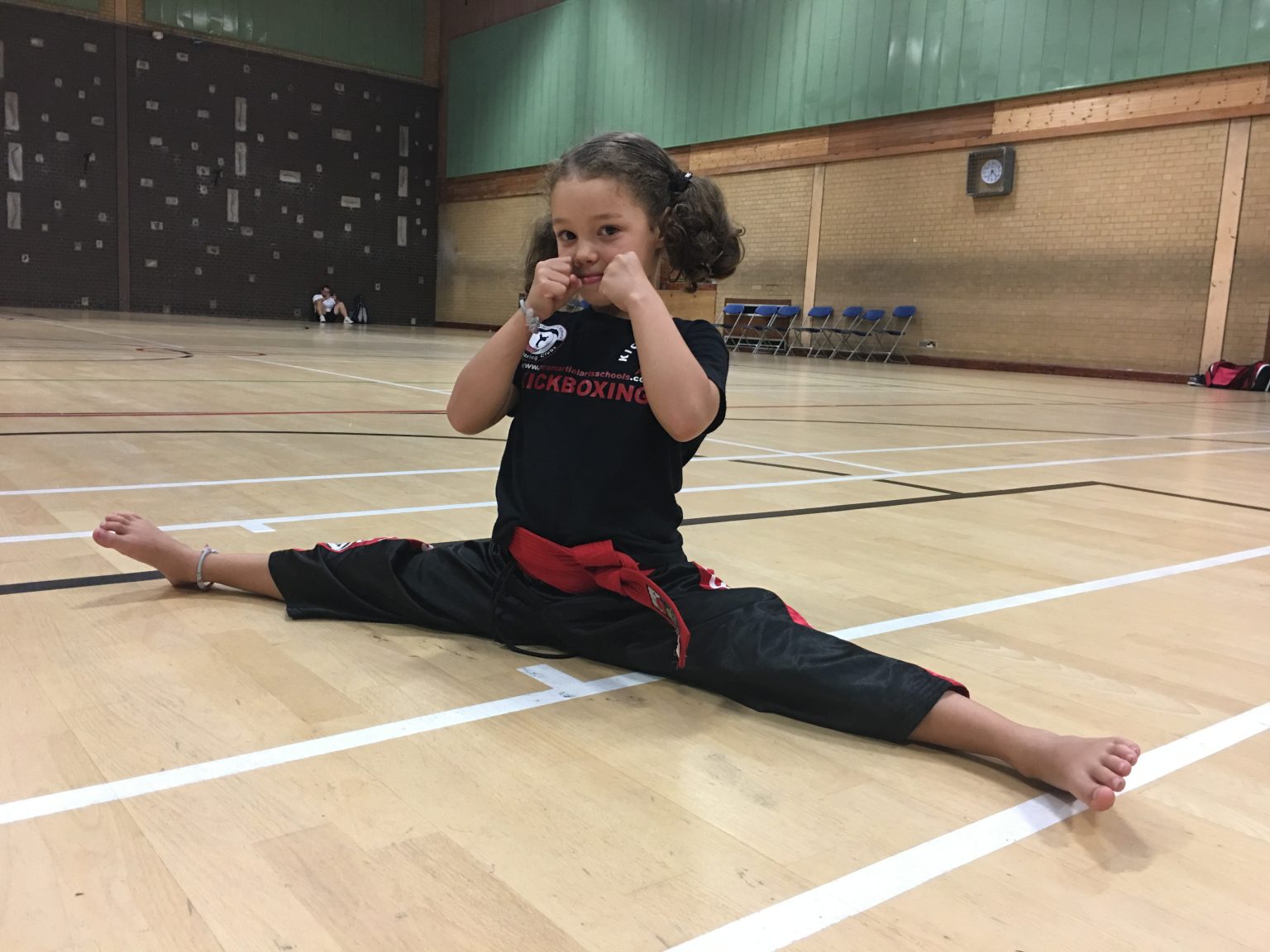 Kickboxing Classes Pro Martial Arts Schools